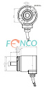 Абсолютный энкодер FNC (FEN) AC36S Fenac