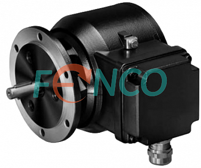 Энкодер EEx OG9 Baumer